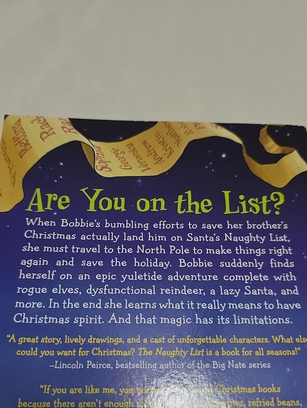 The Naughty List -Children's Book